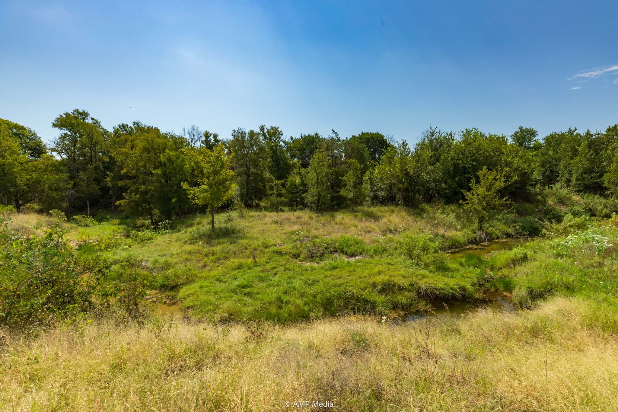 241 Whitetail Springs Lane Gustine TX 76455