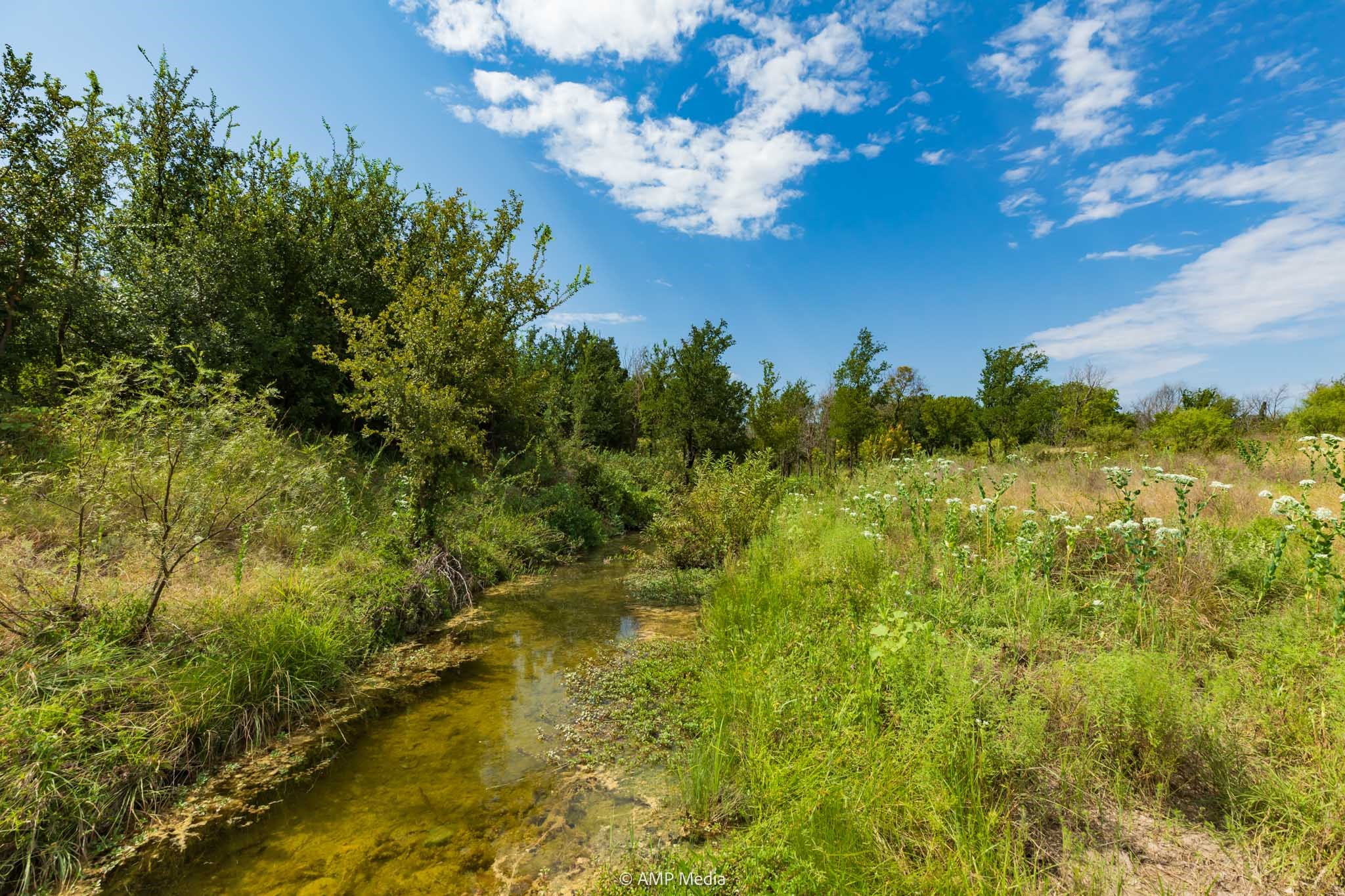 241 Whitetail Springs Lane Gustine TX 76455