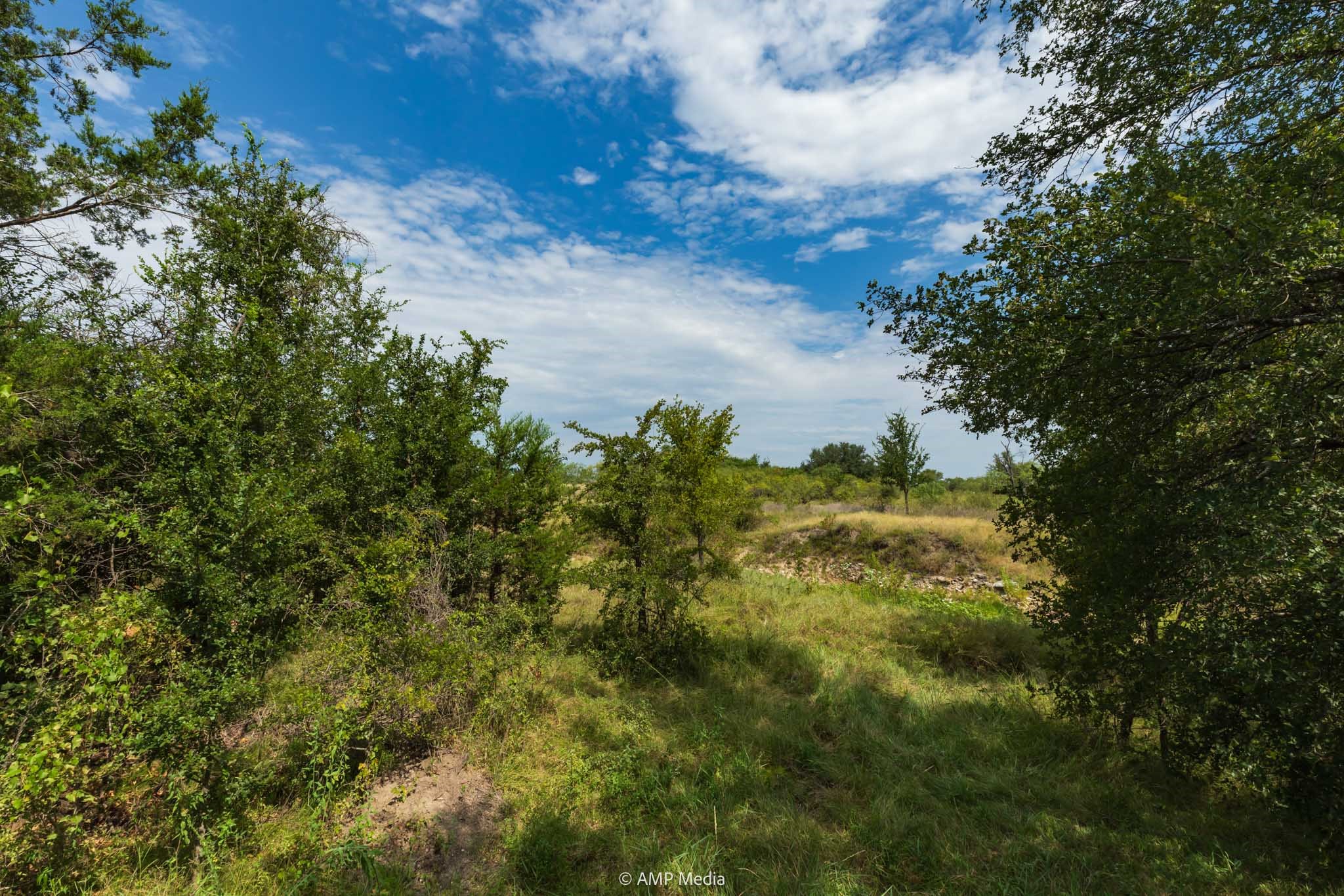 241 Whitetail Springs Lane Gustine TX 76455