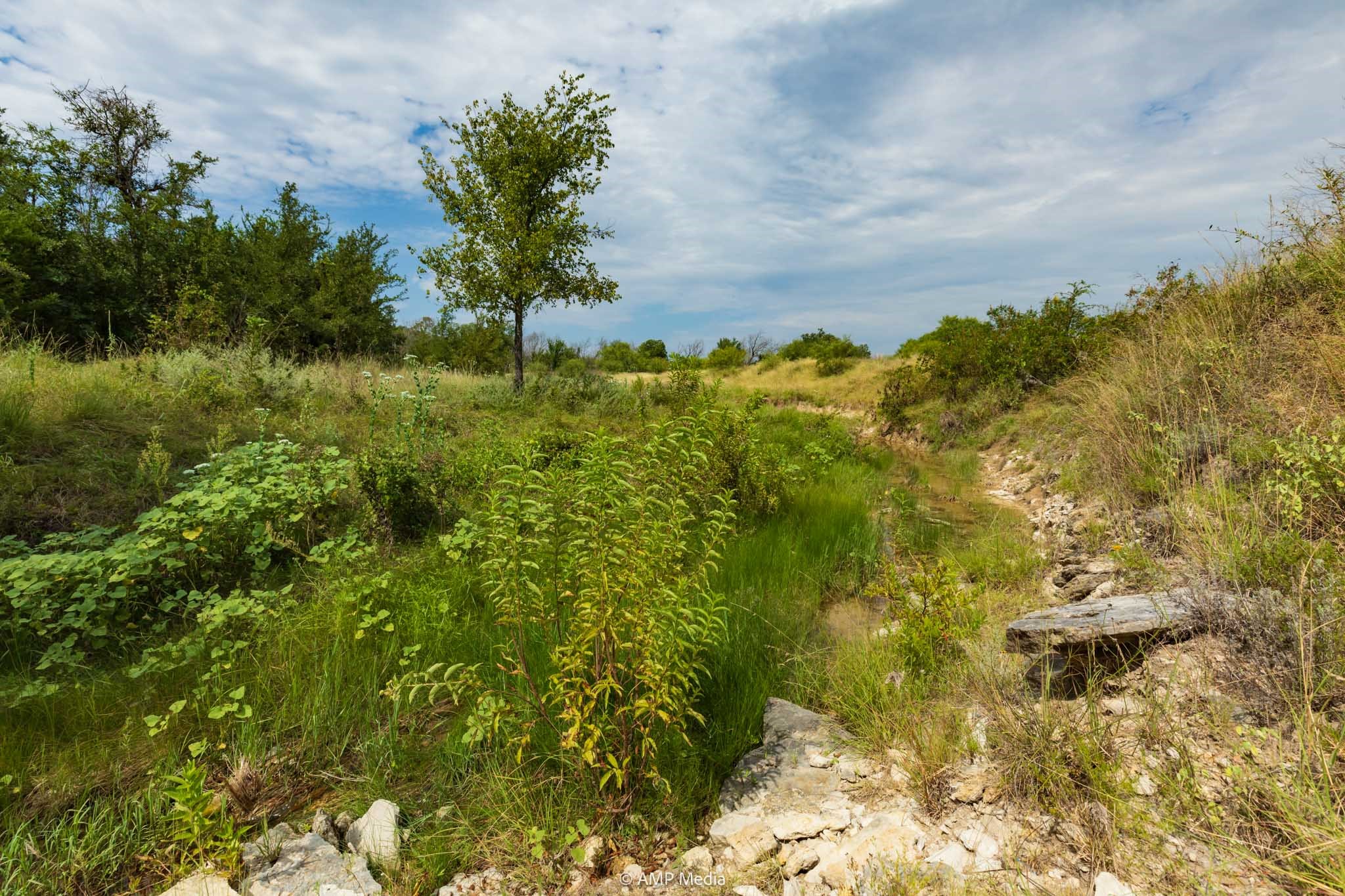 241 Whitetail Springs Lane Gustine TX 76455