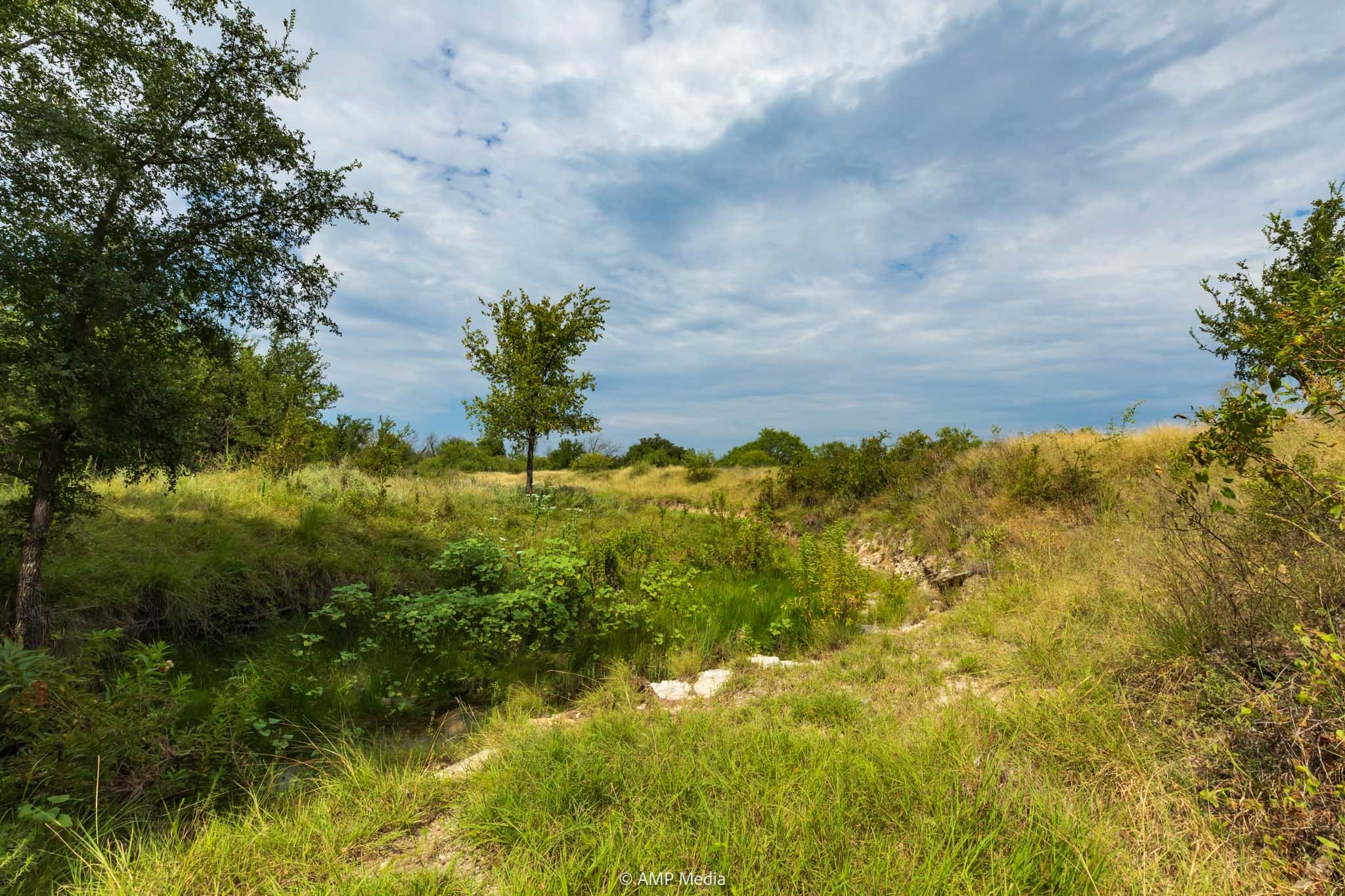 241 Whitetail Springs Lane Gustine TX 76455