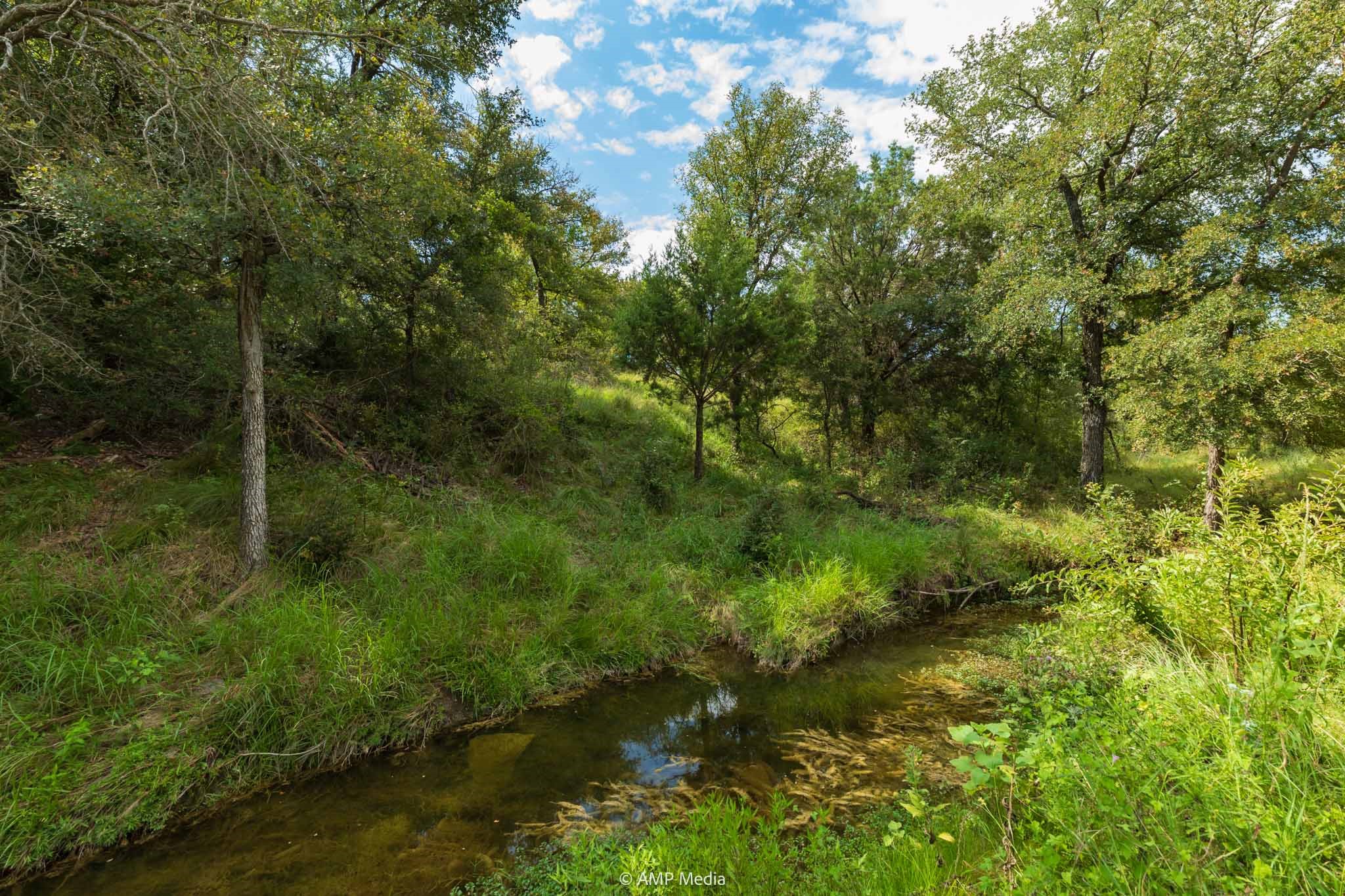 241 Whitetail Springs Lane Gustine TX 76455
