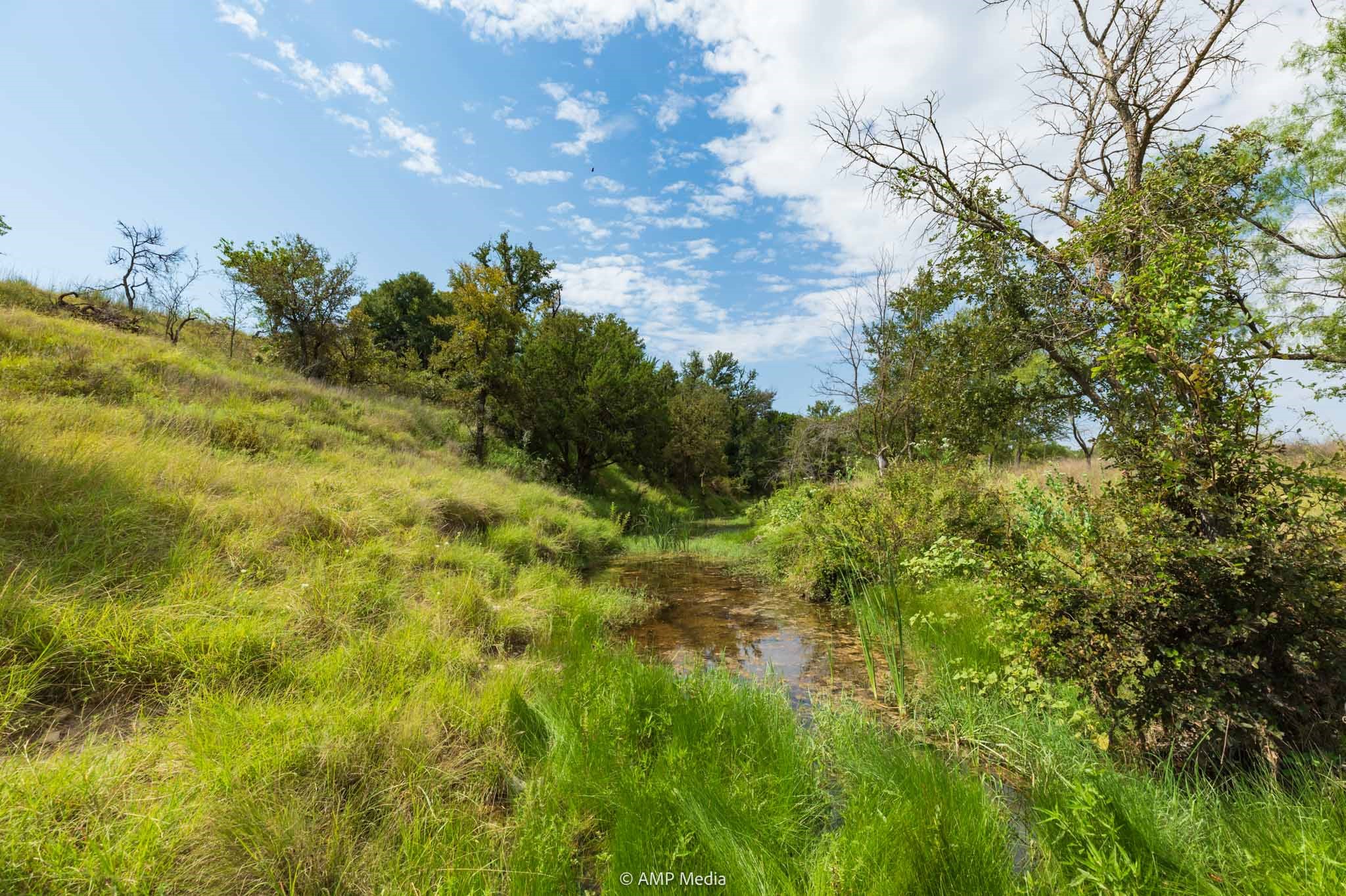 241 Whitetail Springs Lane Gustine TX 76455