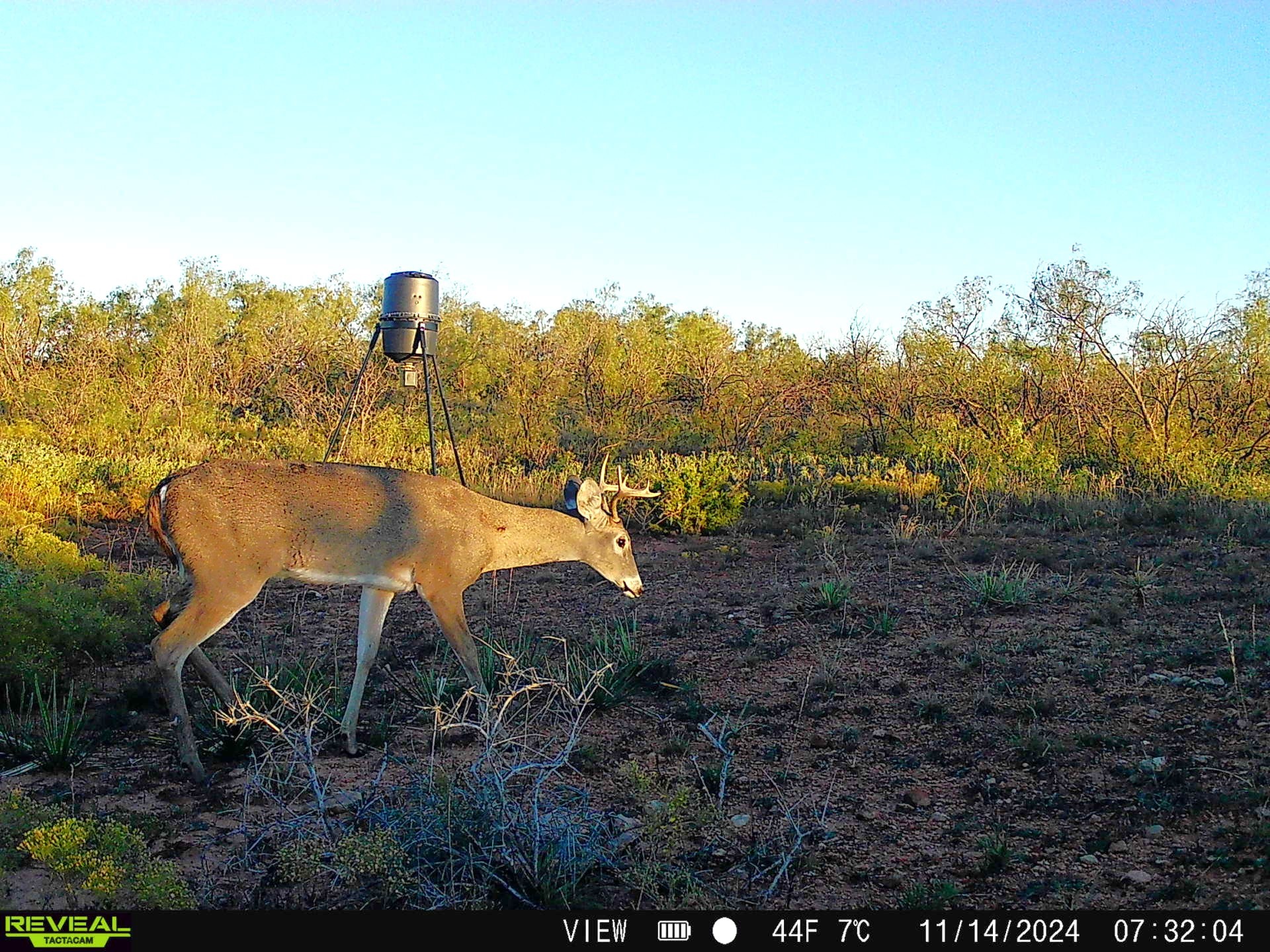 604 Cr 321 Abilene TX 79606
