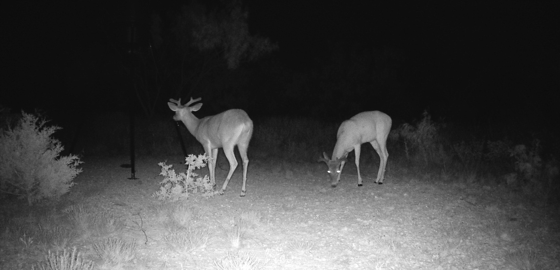 604 Cr 321 Abilene TX 79606