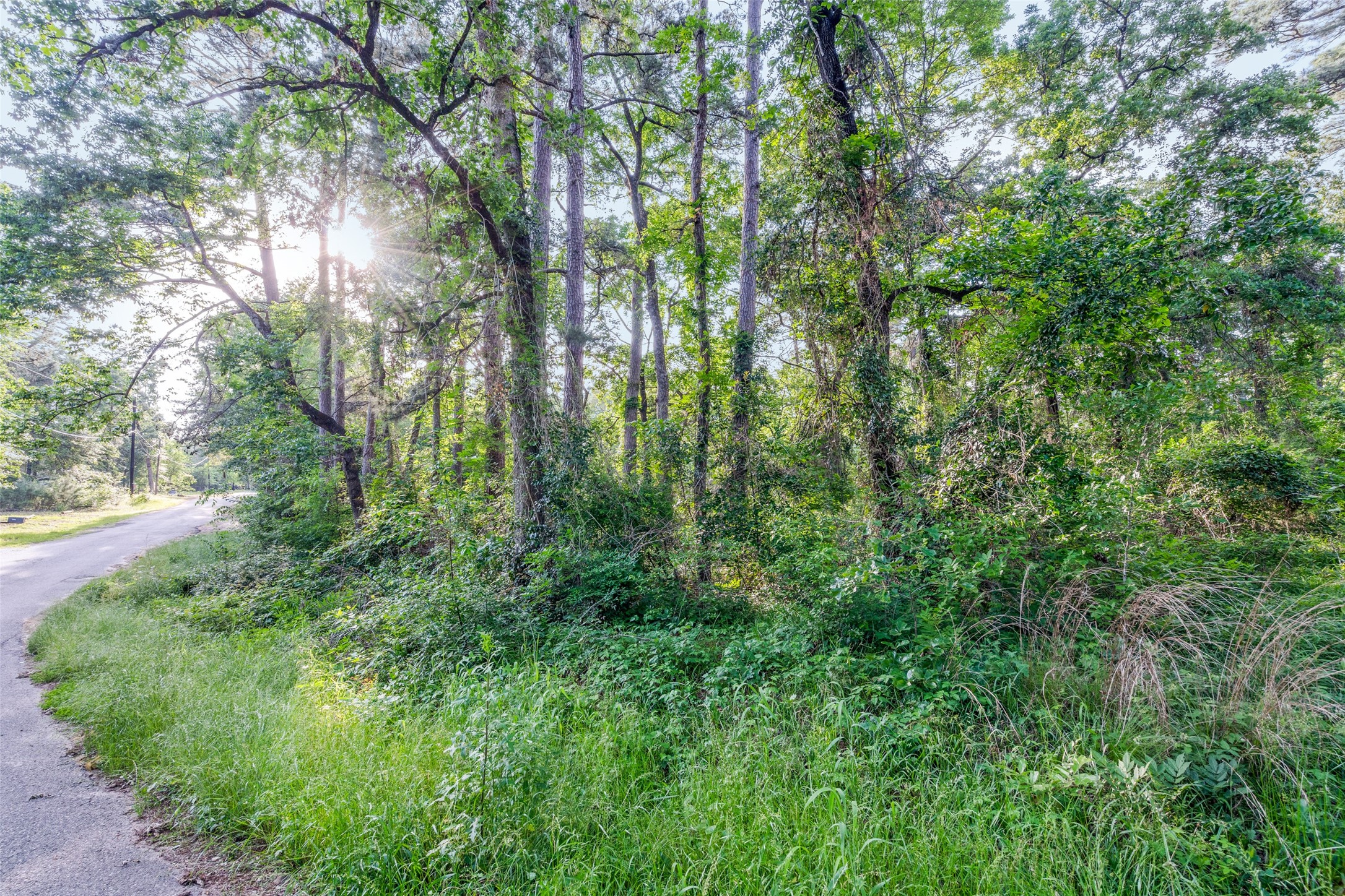 7631 Forest Hill Drive Frankston TX 75763