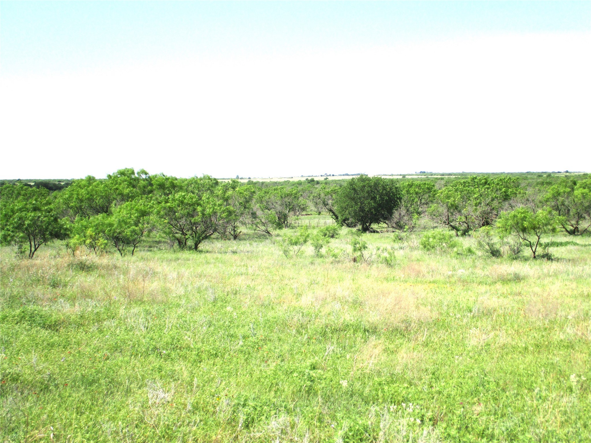 Tr 3 Boren Ringgold TX 76241