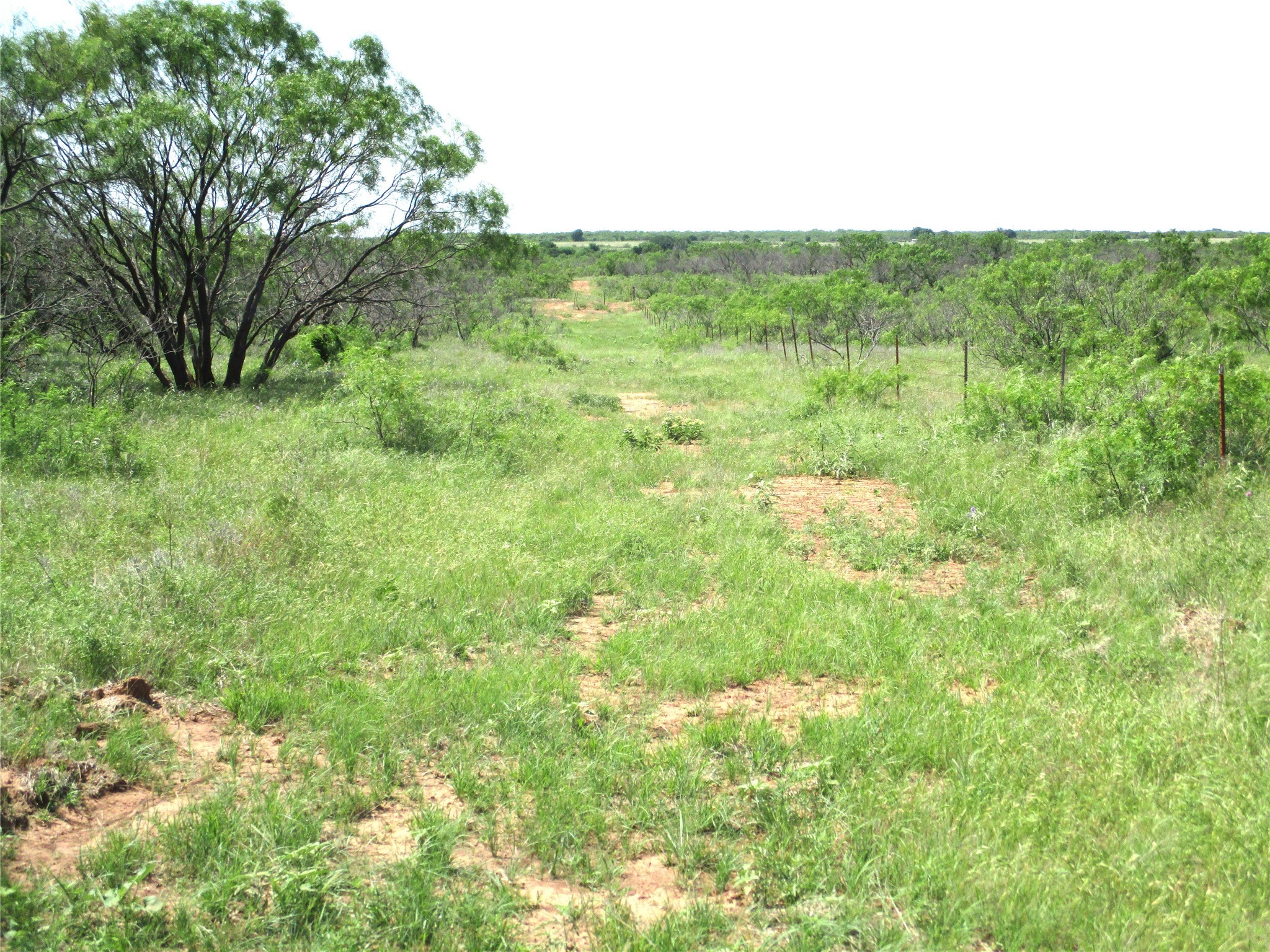 Tr 3 Boren Ringgold TX 76241