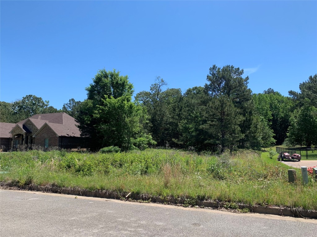 10881 Deer Creek Drive Tyler TX 75707