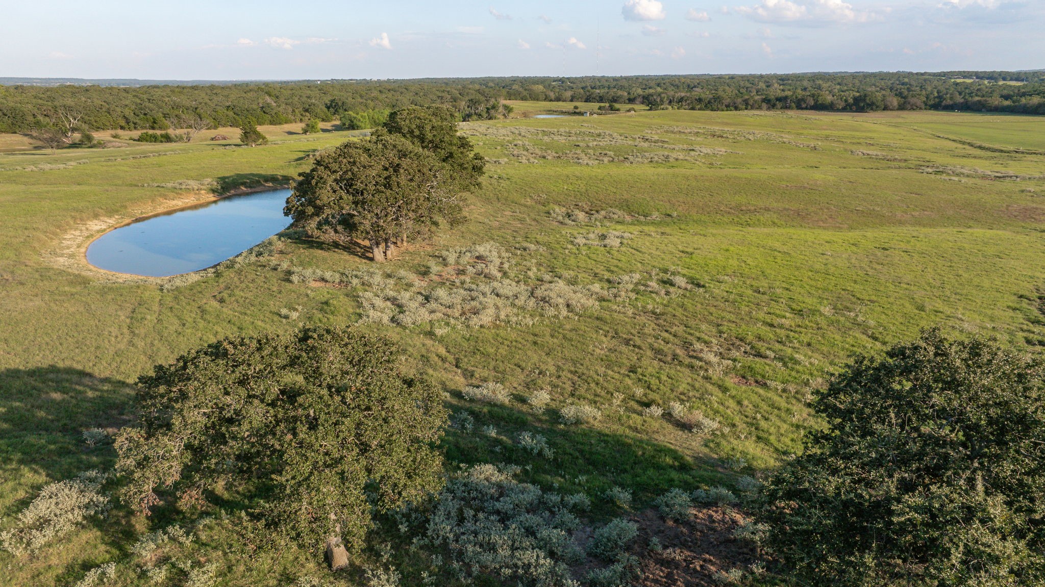 3688 N Fm 1655 Alvord TX 76225