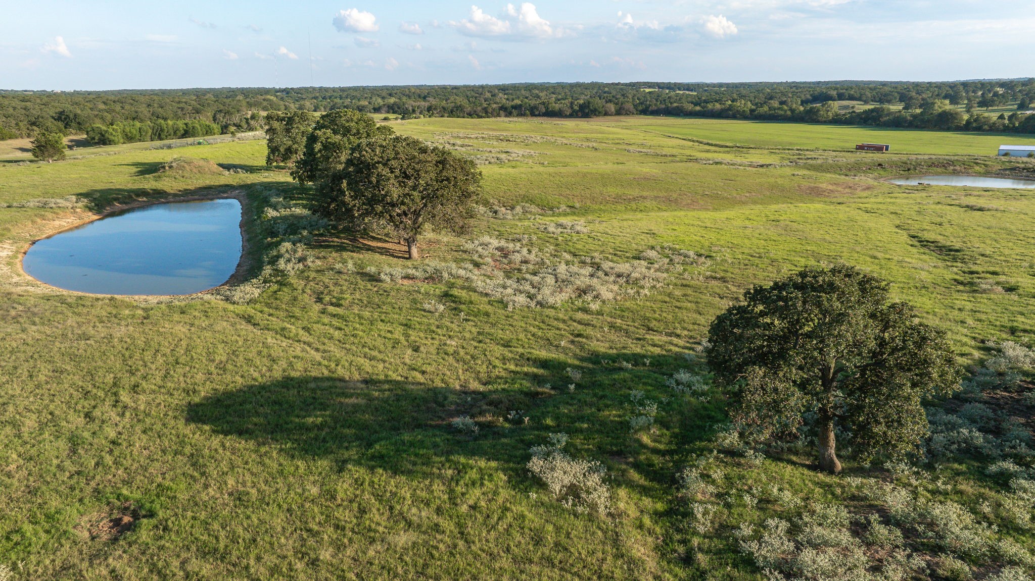 3688 N Fm 1655 Alvord TX 76225