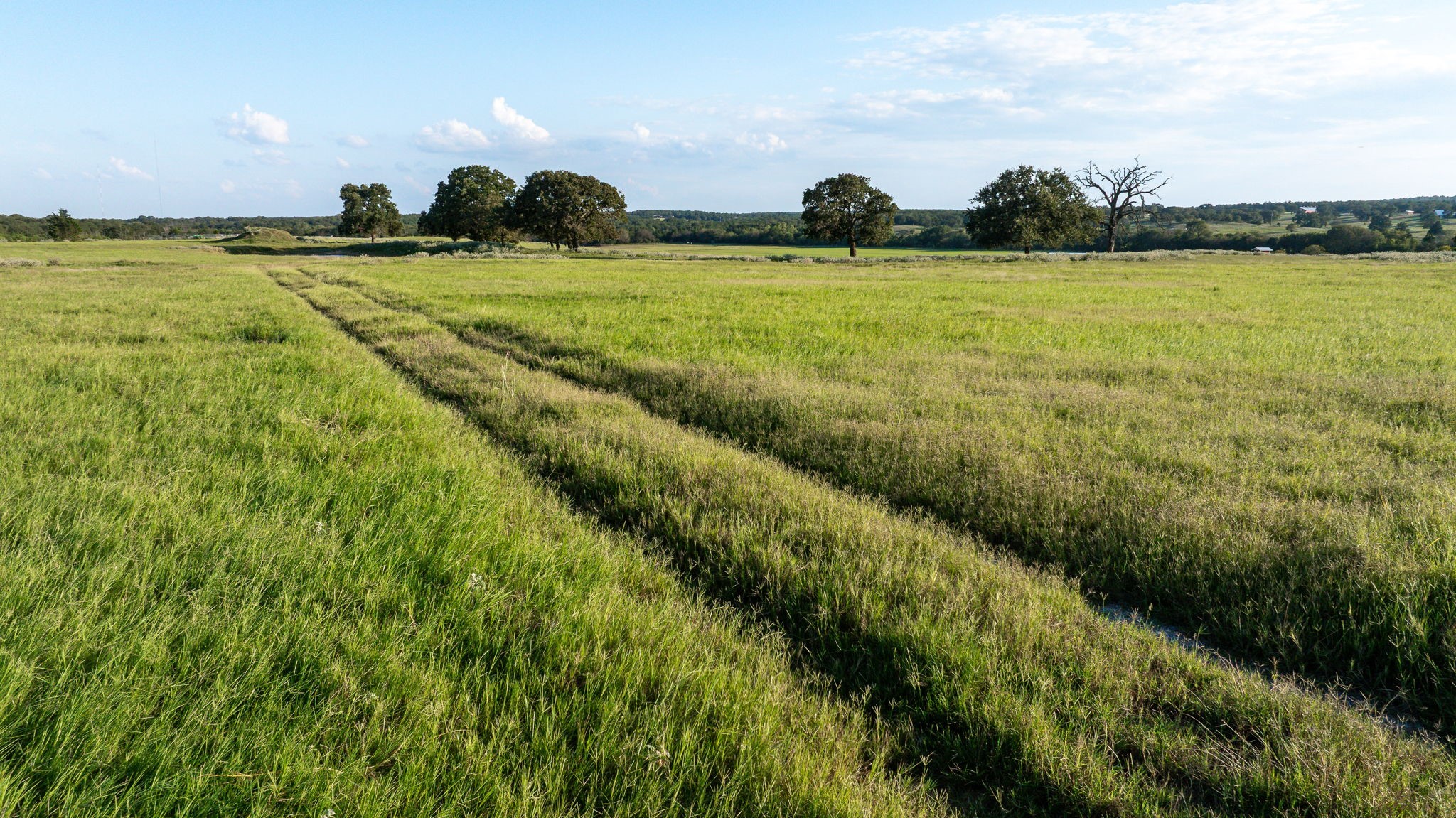 3688 N Fm 1655 Alvord TX 76225