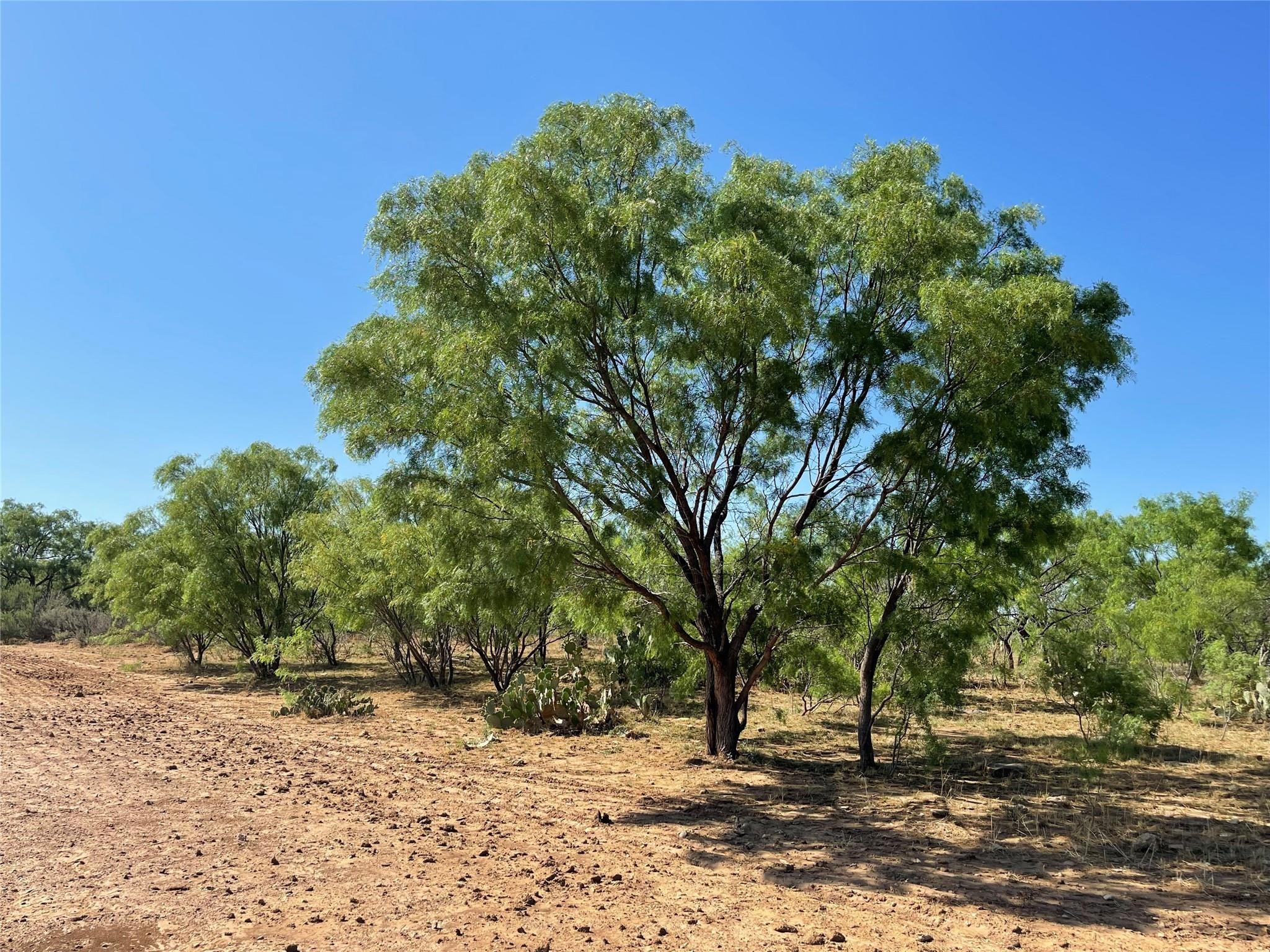Tbd County Road 346 Gouldbusk TX 76845
