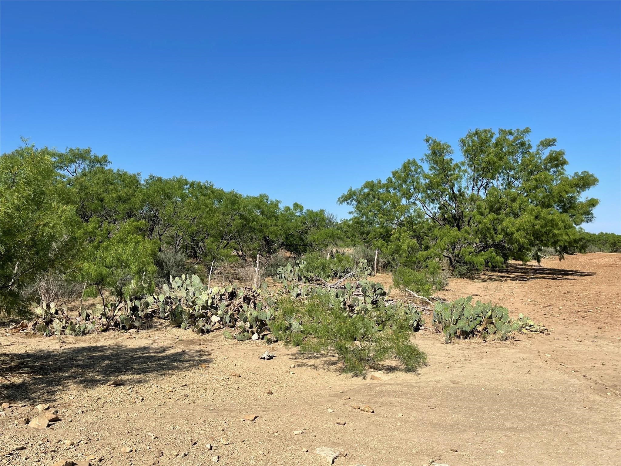 Tbd County Road 346 Gouldbusk TX 76845