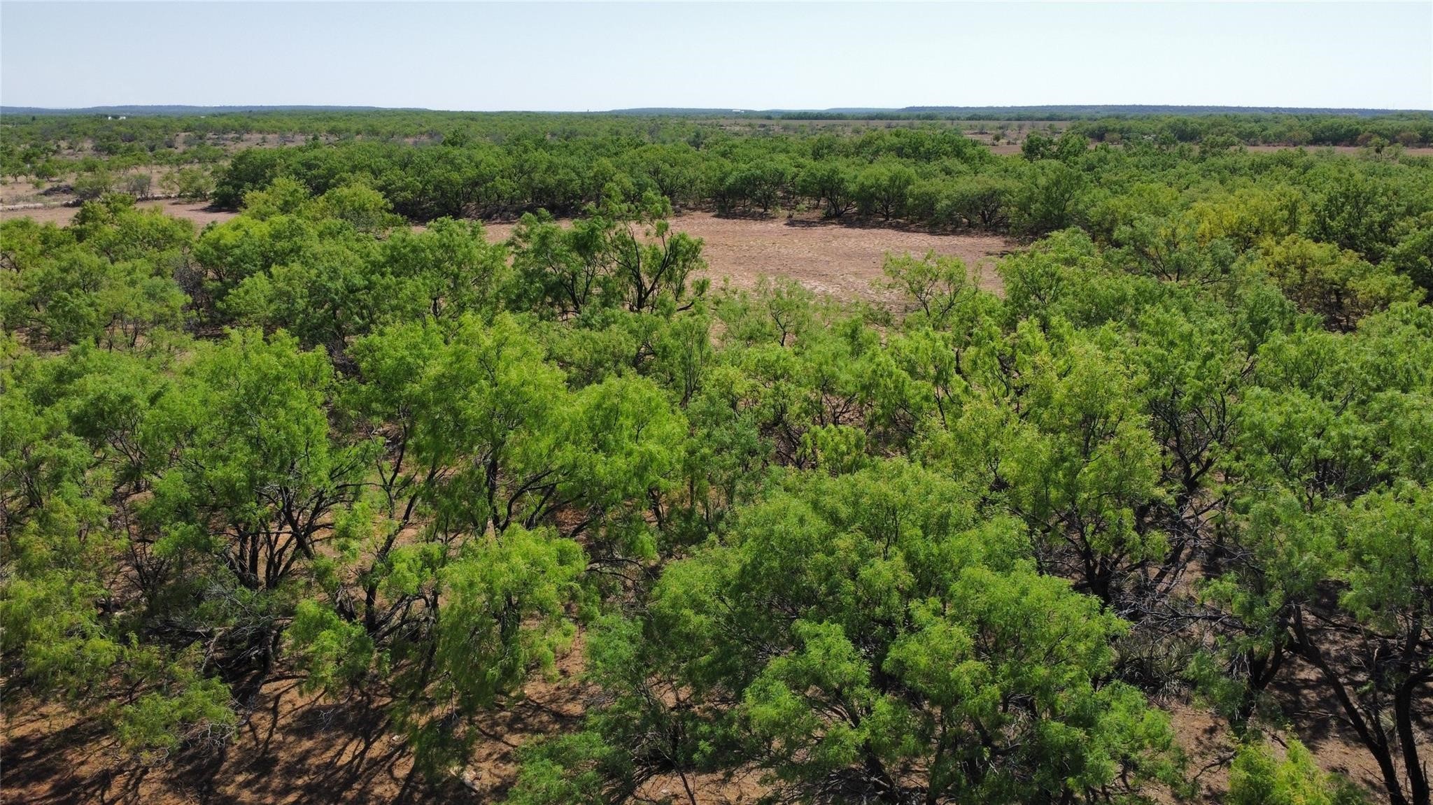 Tbd County Road 346 Gouldbusk TX 76845