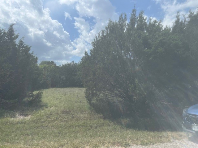 14048 Sandy Oaks Drive Whitney TX 76692