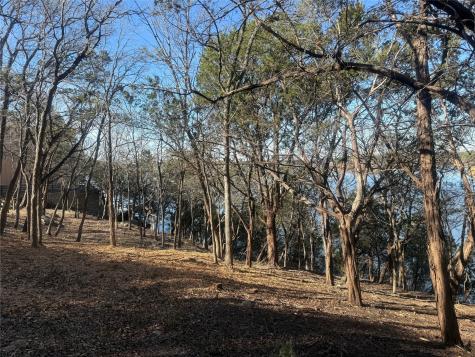 2508 River Ridge Court Granbury TX 76048