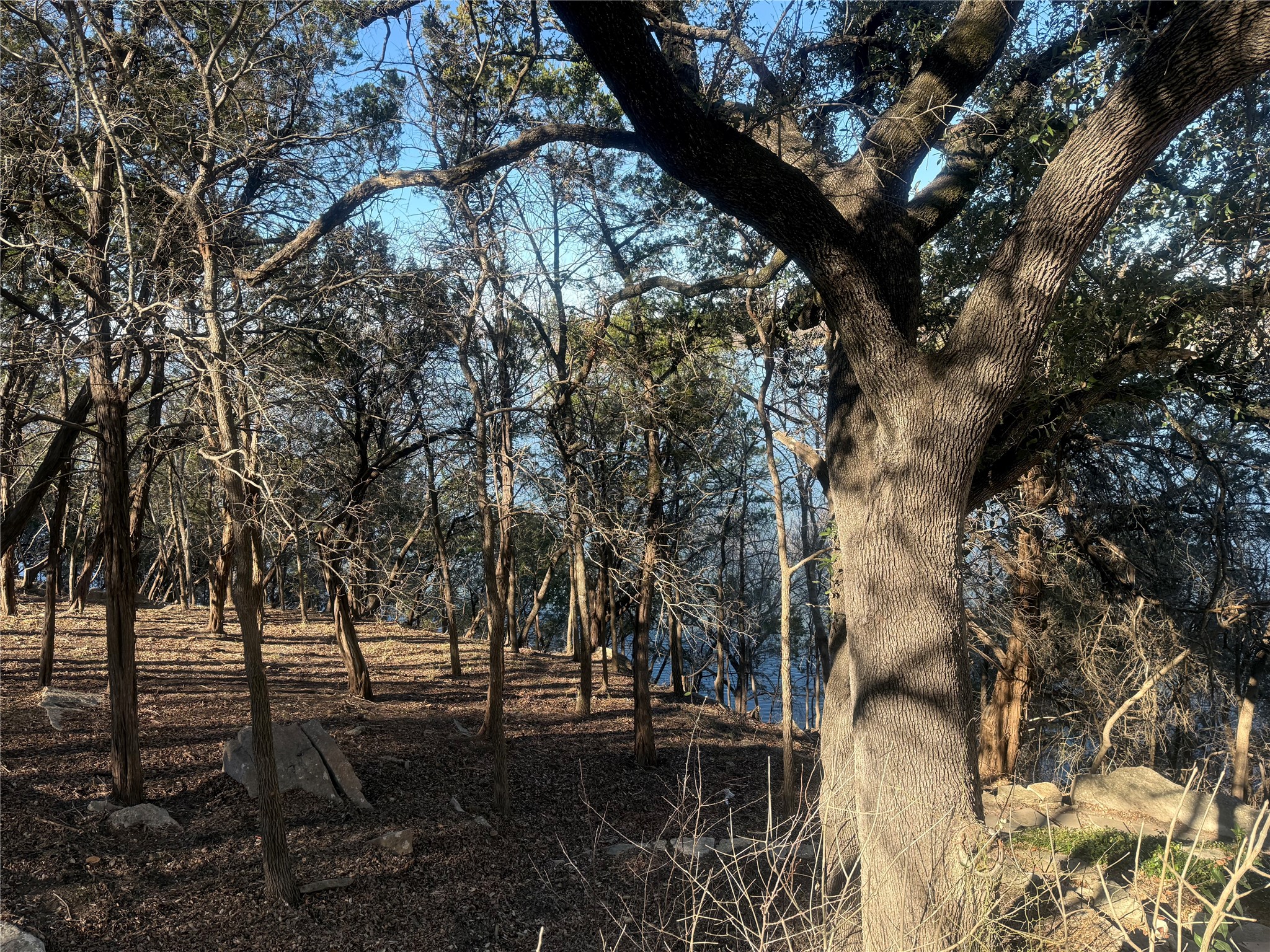 2508 River Ridge Court Granbury TX 76048