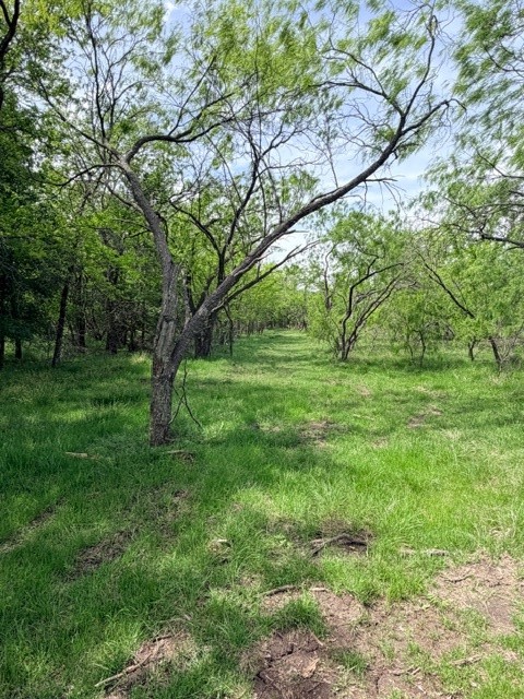 9798 County Road 146 Kaufman TX 75142