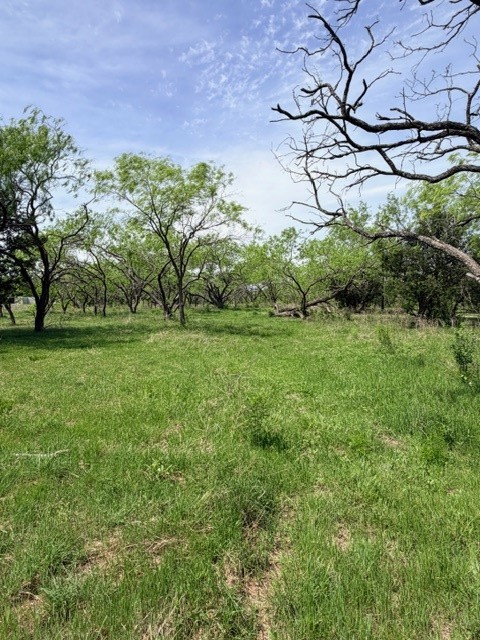 9798 County Road 146 Kaufman TX 75142