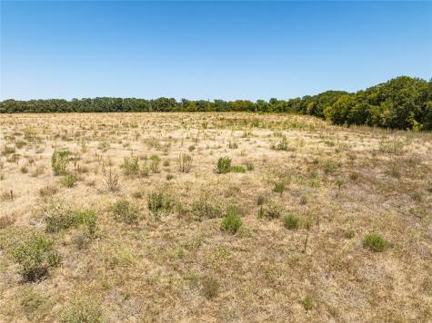 TBD FM-1390 Scurry TX 75158