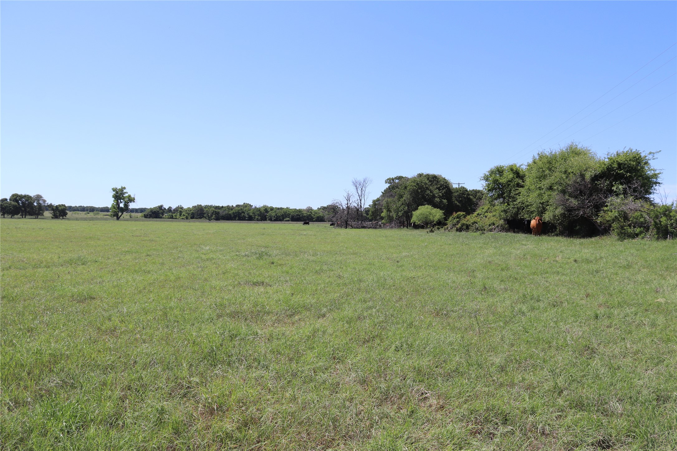 80 Acres North Deer Creek Road Henrietta TX 76365