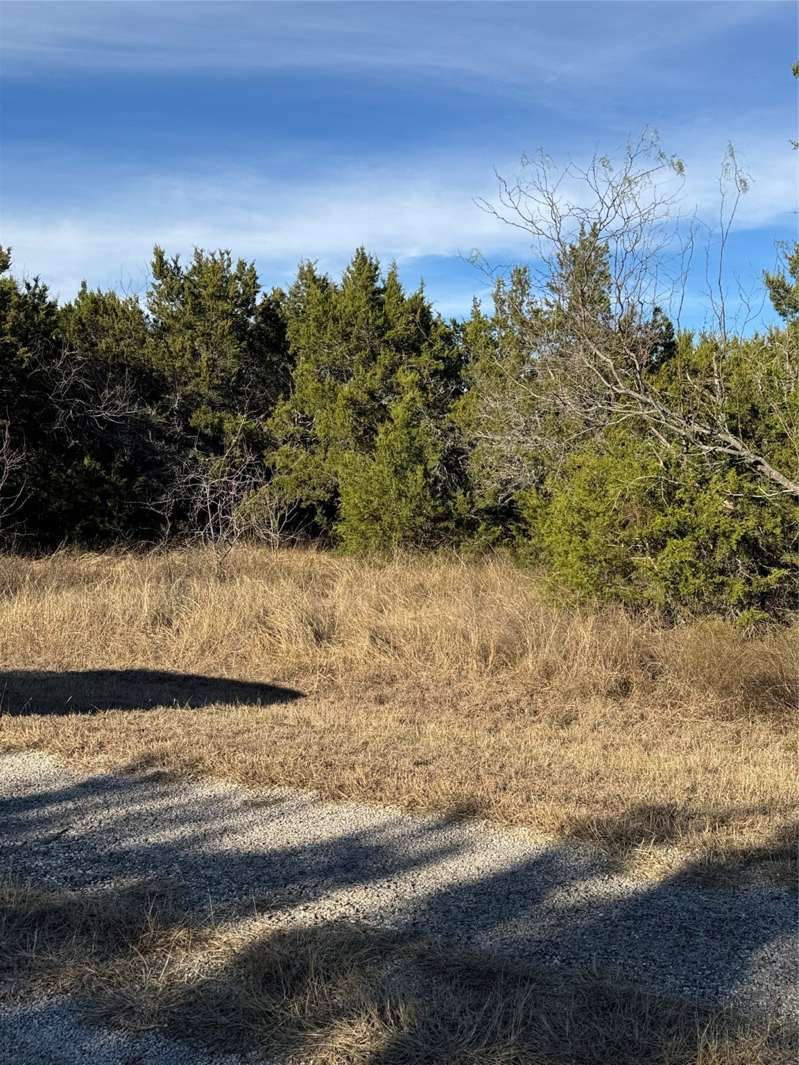 44125 Cedar Hill Drive Whitney TX 76692