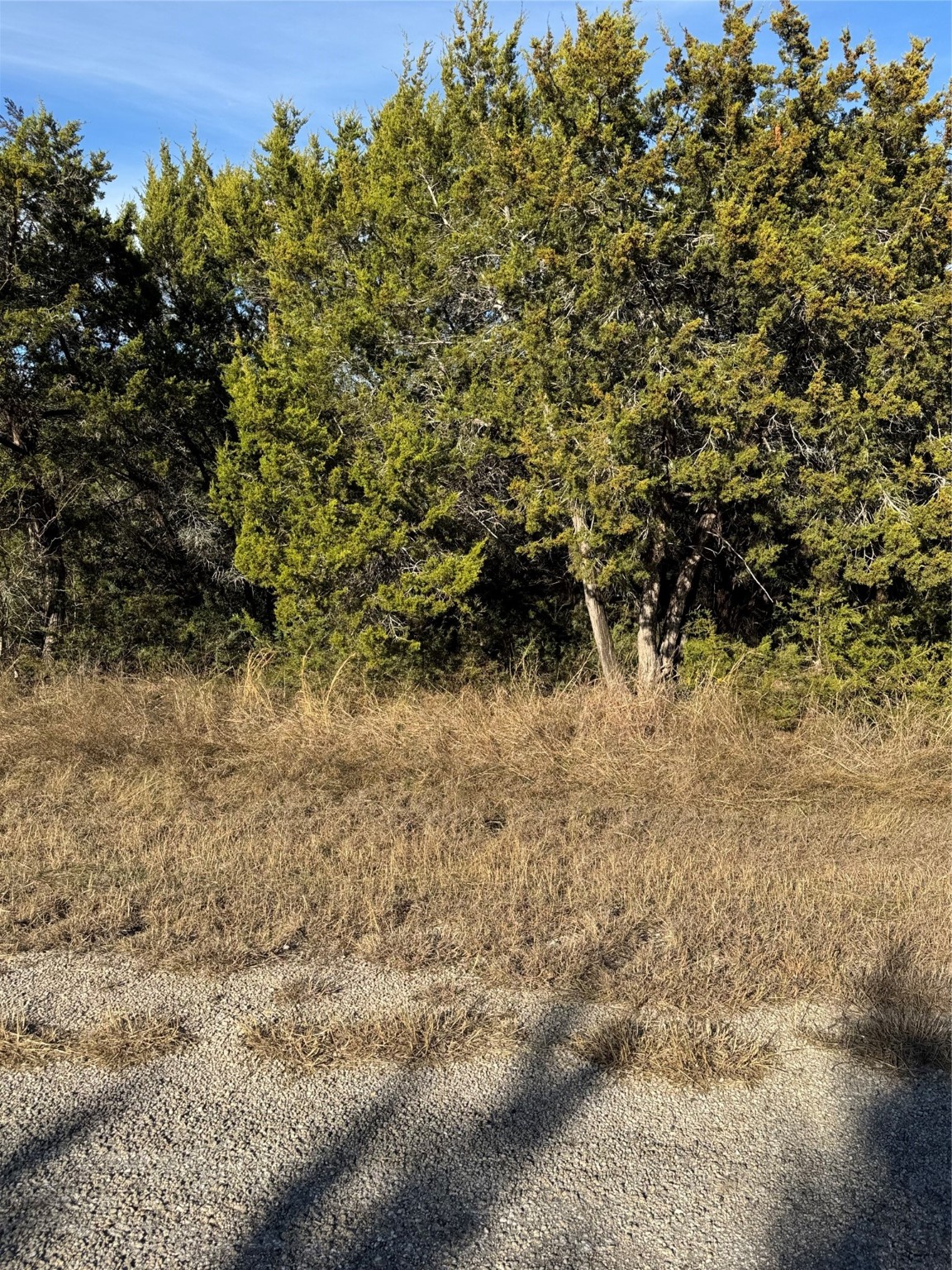 44125 Cedar Hill Drive Whitney TX 76692