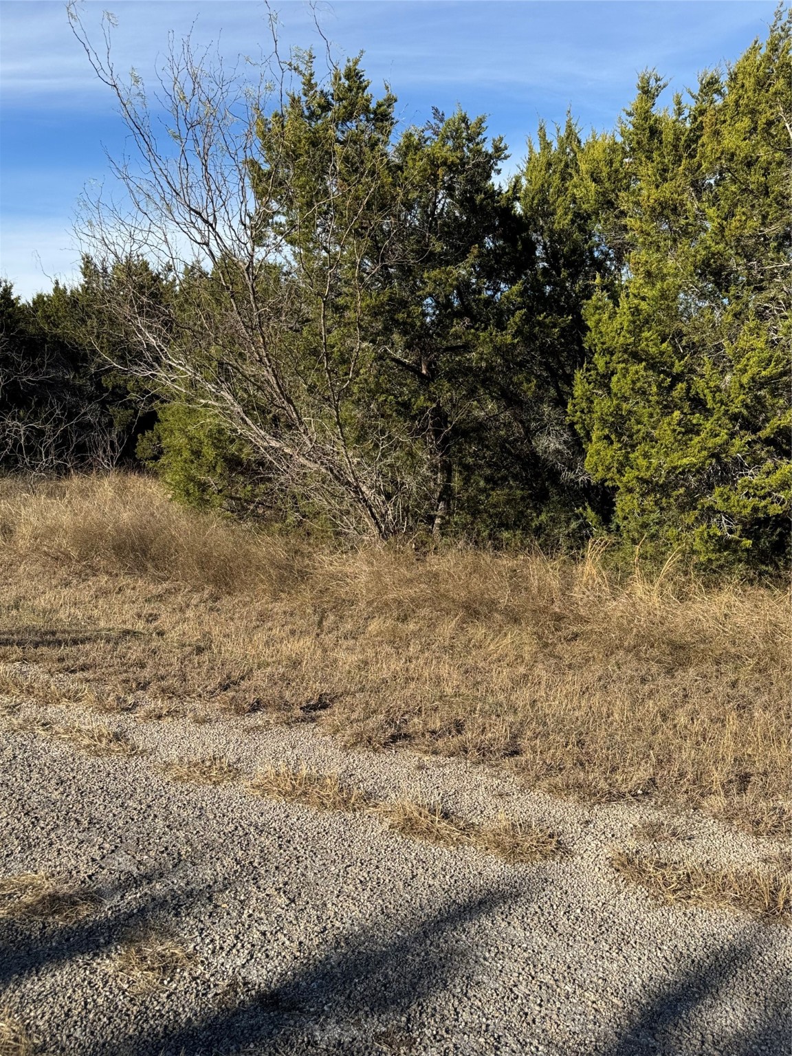 44125 Cedar Hill Drive Whitney TX 76692