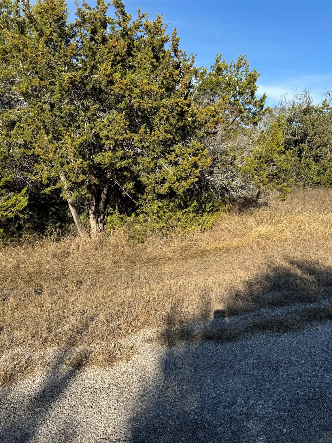 44125 Cedar Hill Drive Whitney TX 76692