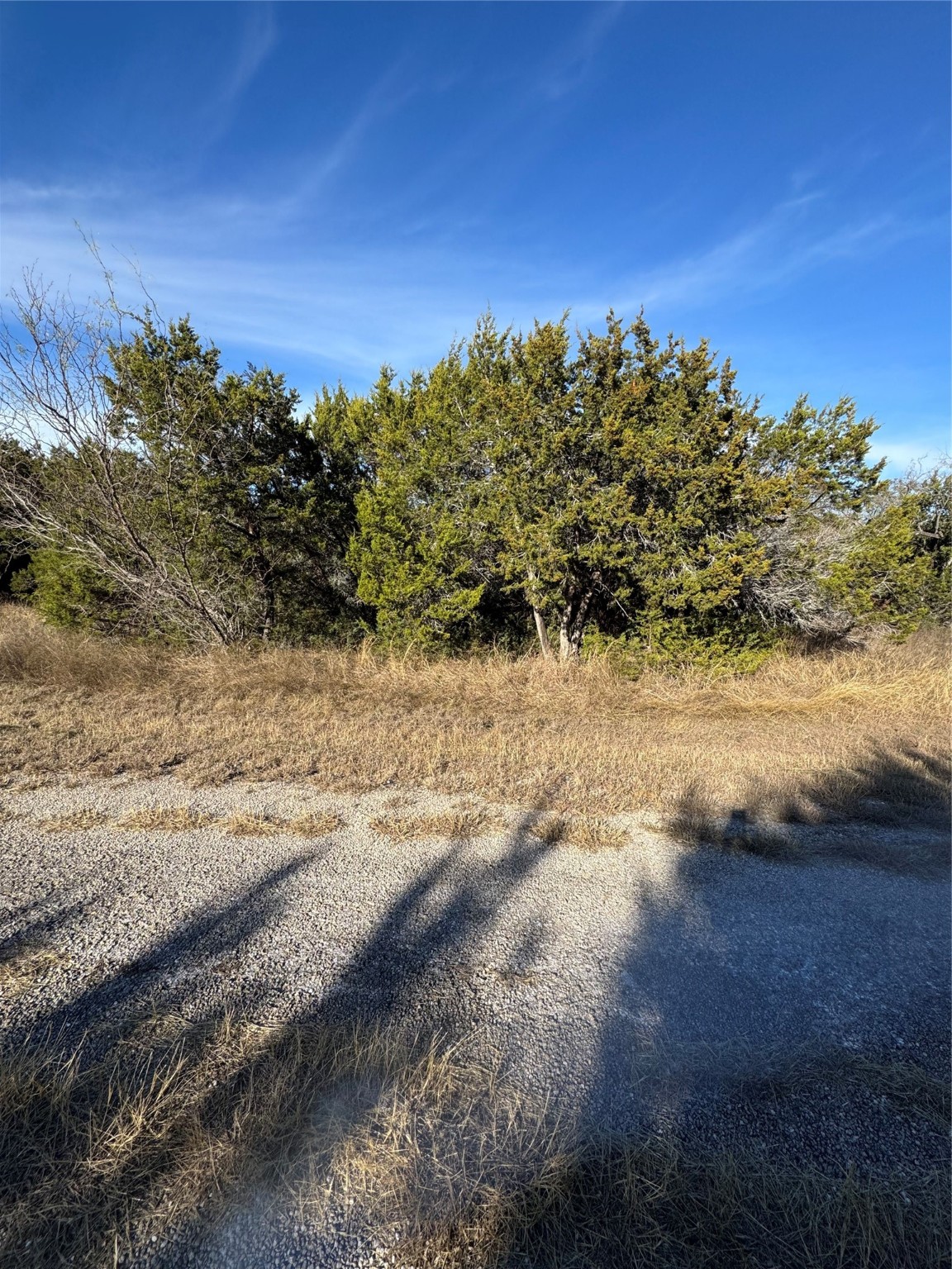 44125 Cedar Hill Drive Whitney TX 76692