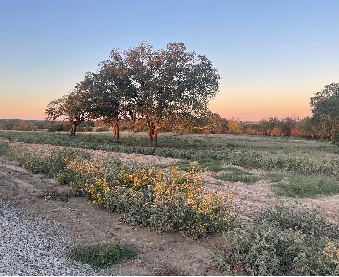 1010 Gonzollas Road Springtown TX 76082