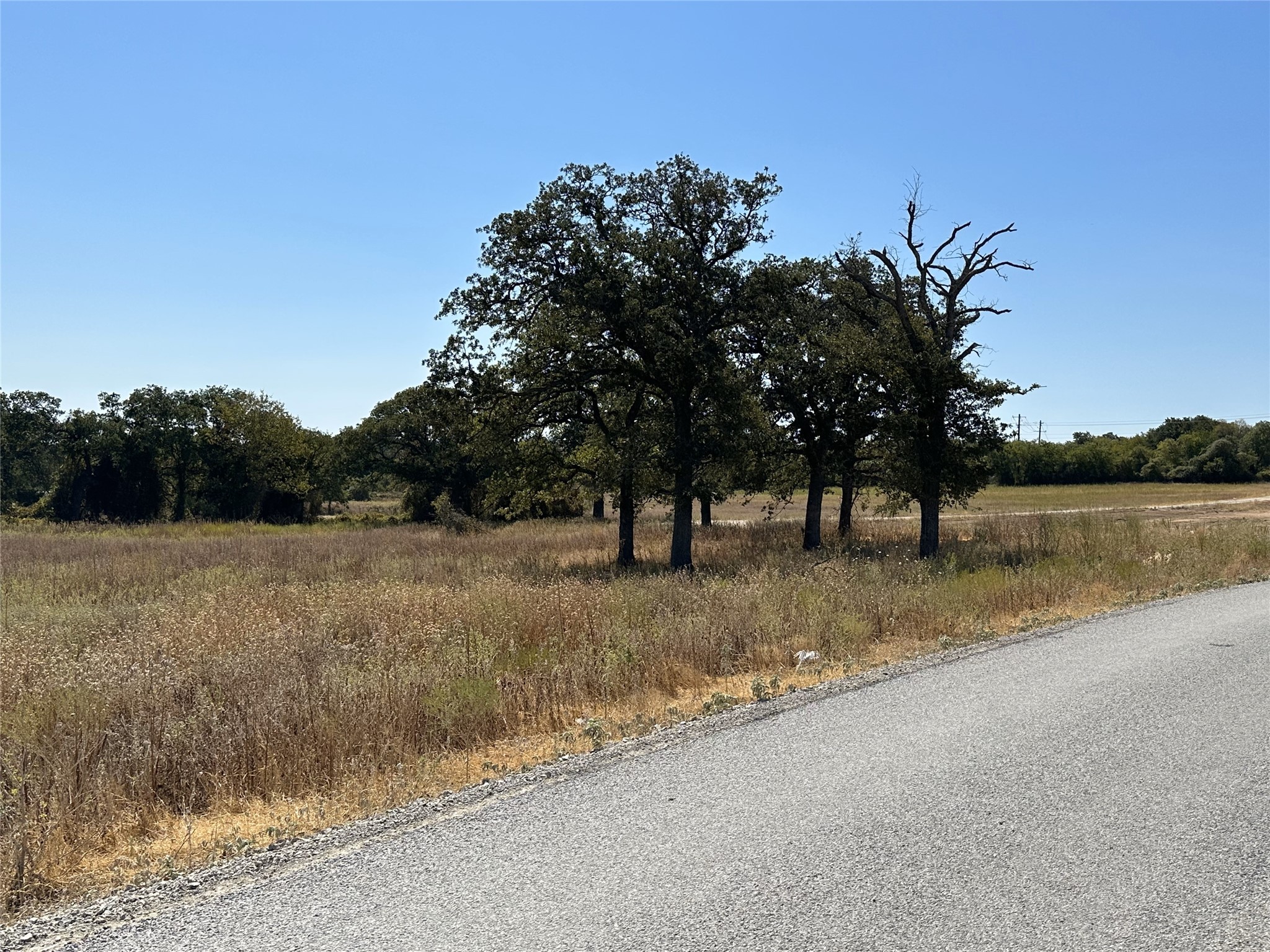 1010 Gonzollas Road Springtown TX 76082