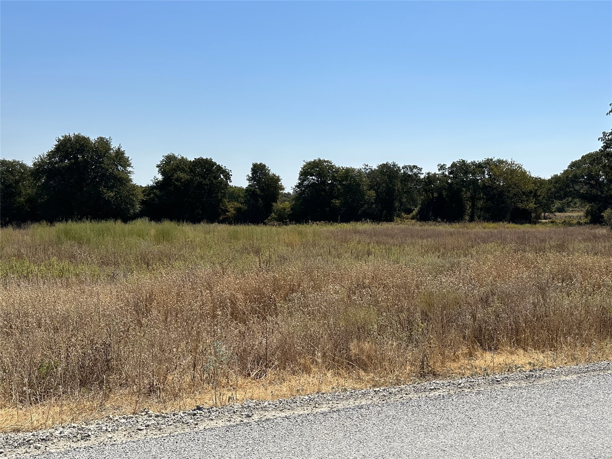1010 Gonzollas Road Springtown TX 76082