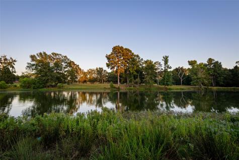 12701 Fm 2010 Chandler TX 75758