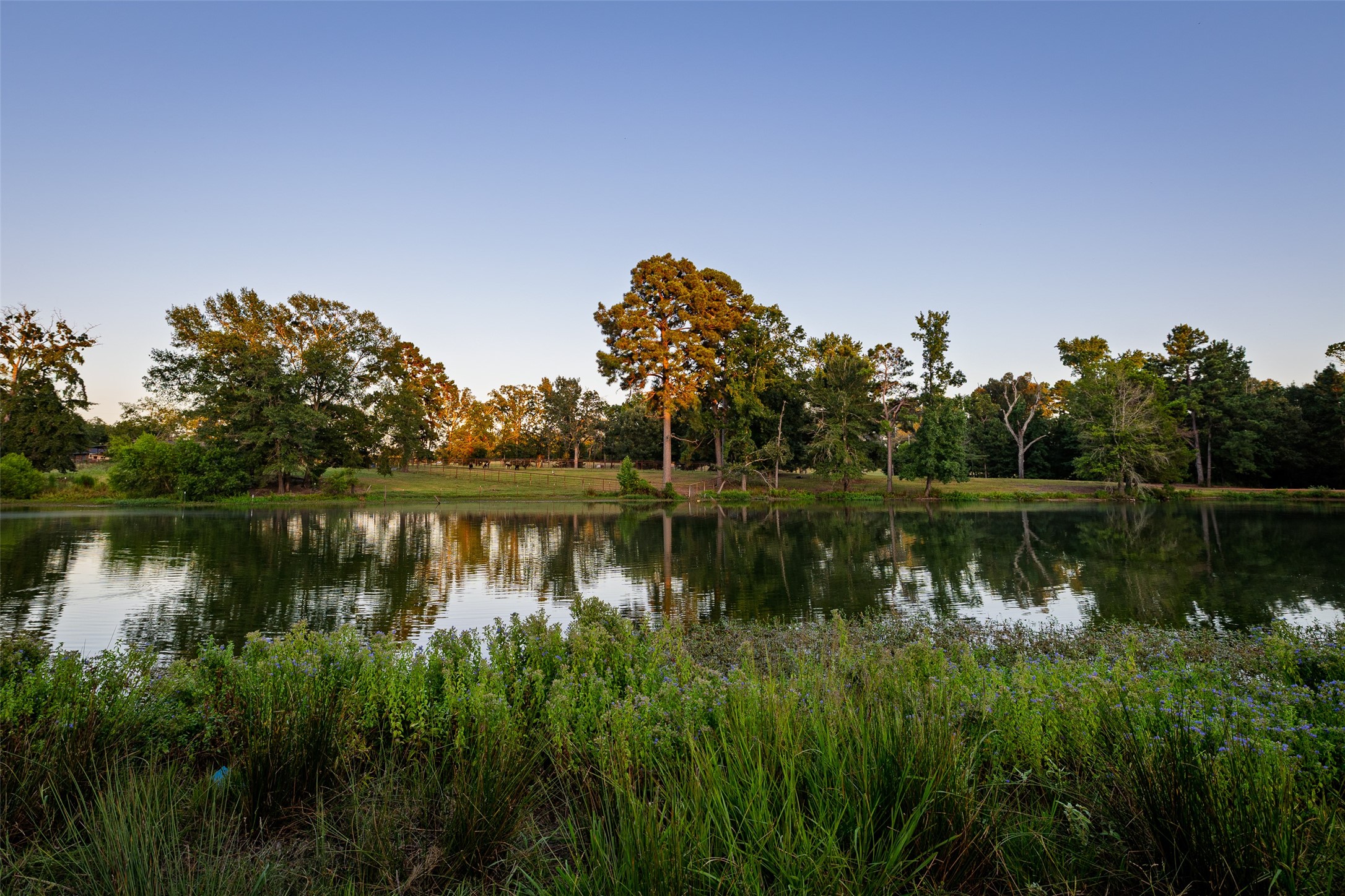 12701 Fm 2010 Chandler TX 75758