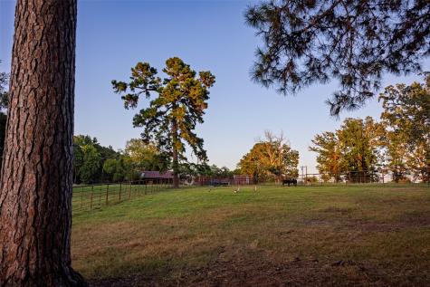 12701 Fm 2010 Chandler TX 75758