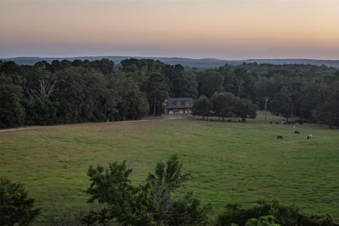 12701 Fm 2010 Chandler TX 75758