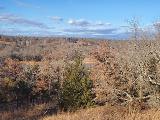 Lot 530 Creekside Drive Sunset TX 76270