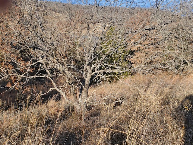 Lot 530 Creekside Drive Sunset TX 76270