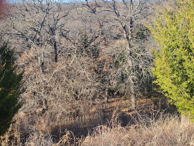 Lot 530 Creekside Drive Sunset TX 76270