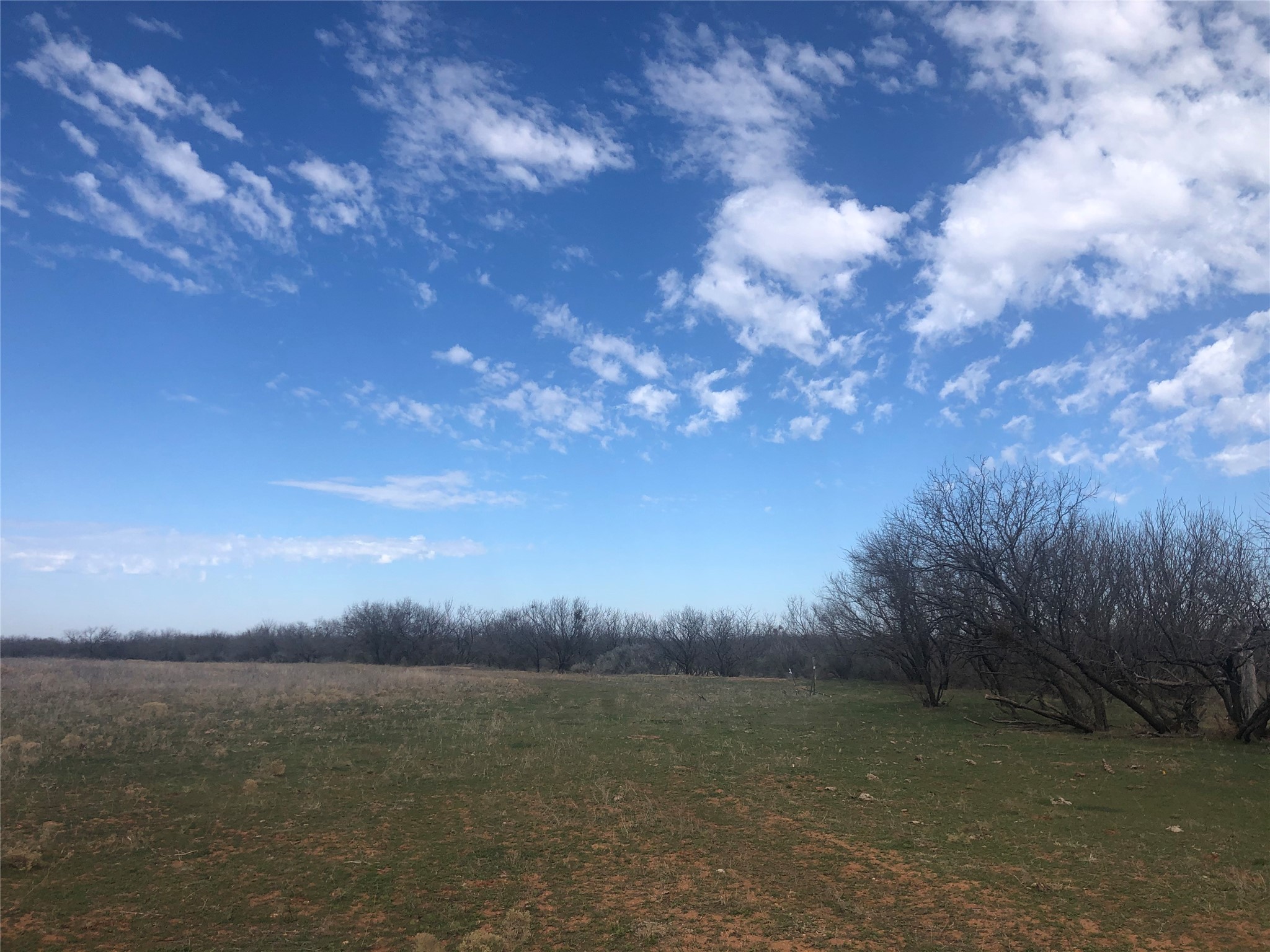 90 Acres Tbd Bacacita Farms Road Abilene TX 79602