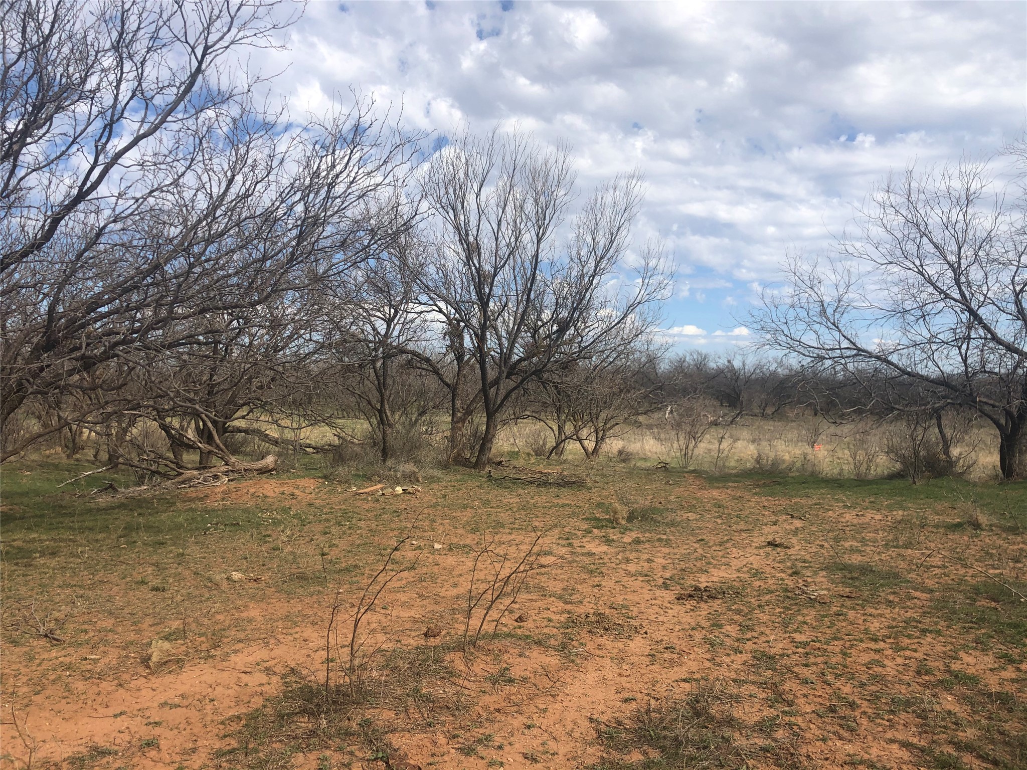 90 Acres Tbd Bacacita Farms Road Abilene TX 79602