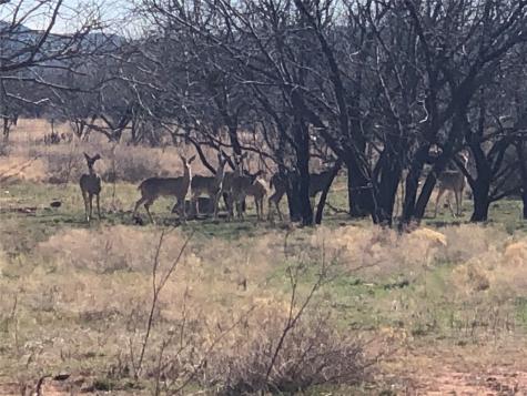 90 Acres Tbd Bacacita Farms Road Abilene TX 79602