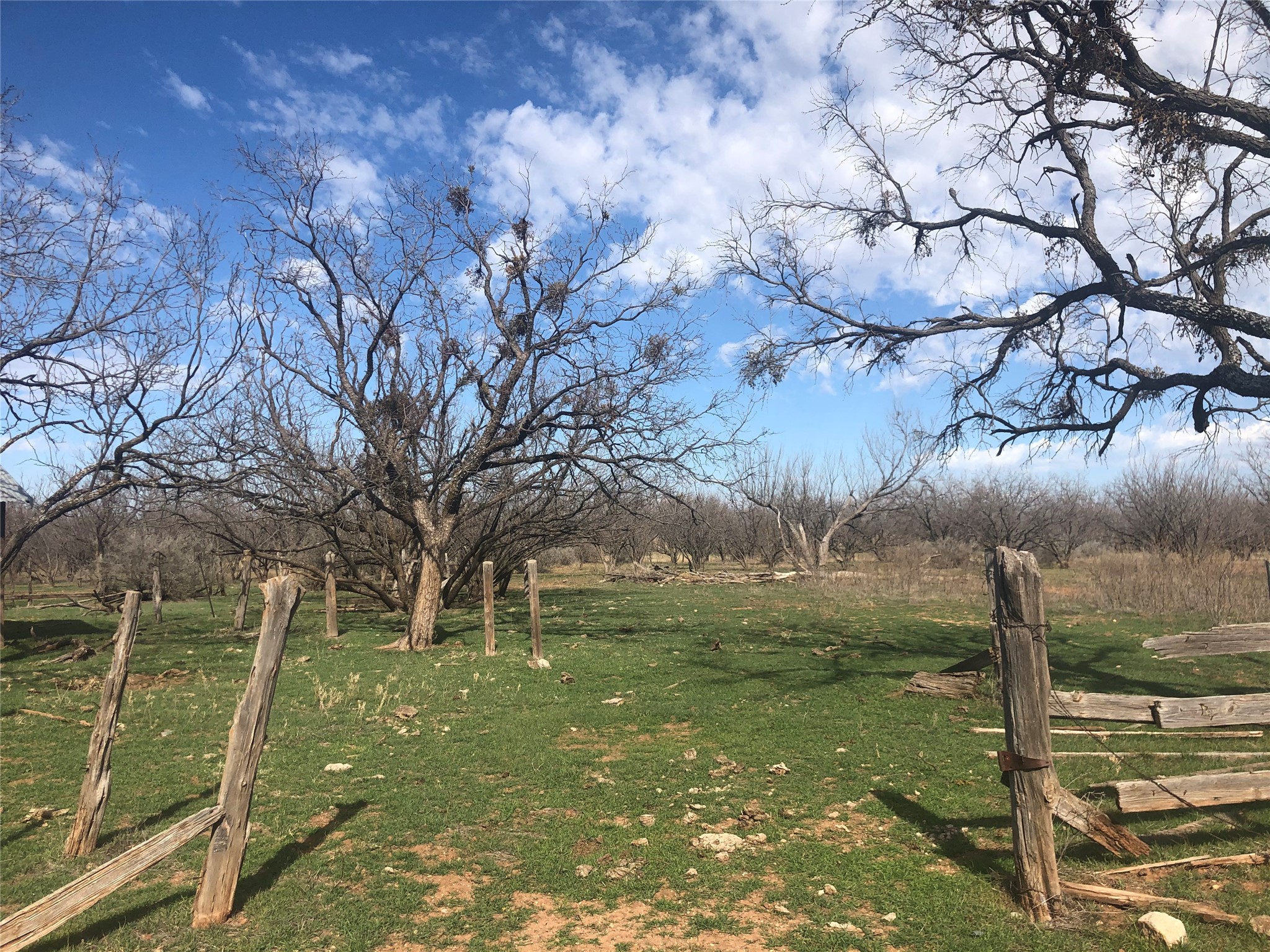 90 Acres Tbd Bacacita Farms Road Abilene TX 79602