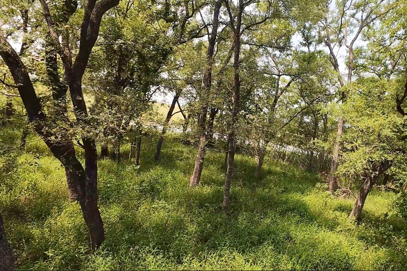 199 Cr 152 Riesel TX 76682