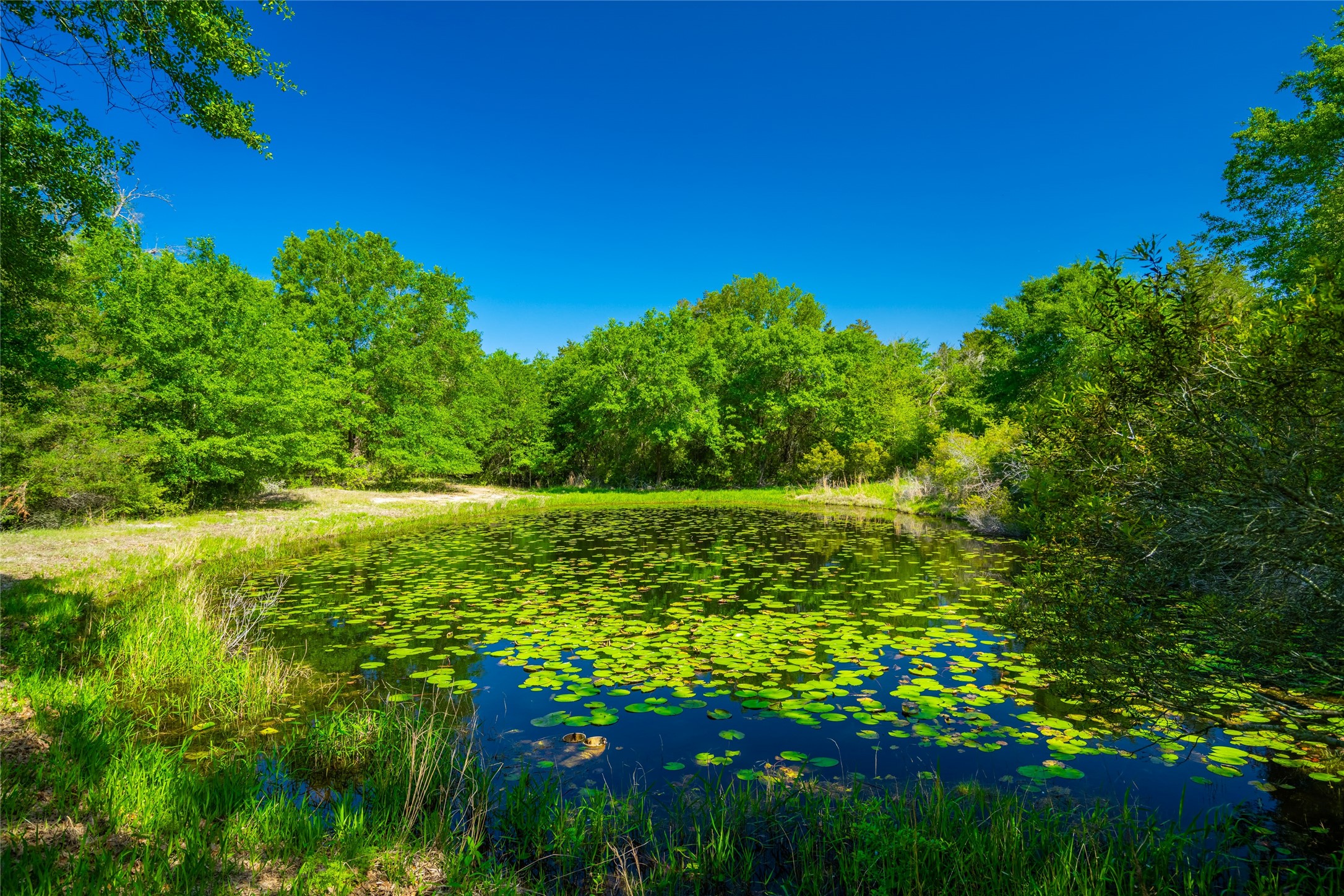 9002 County Road 374 Caldwell TX 77836