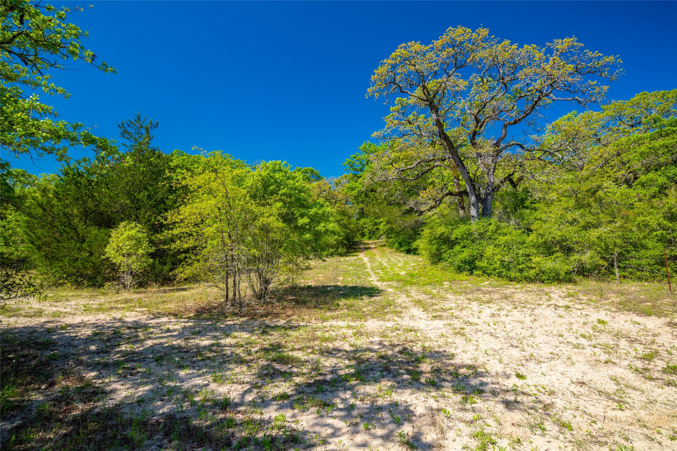 9002 County Road 374 Caldwell TX 77836