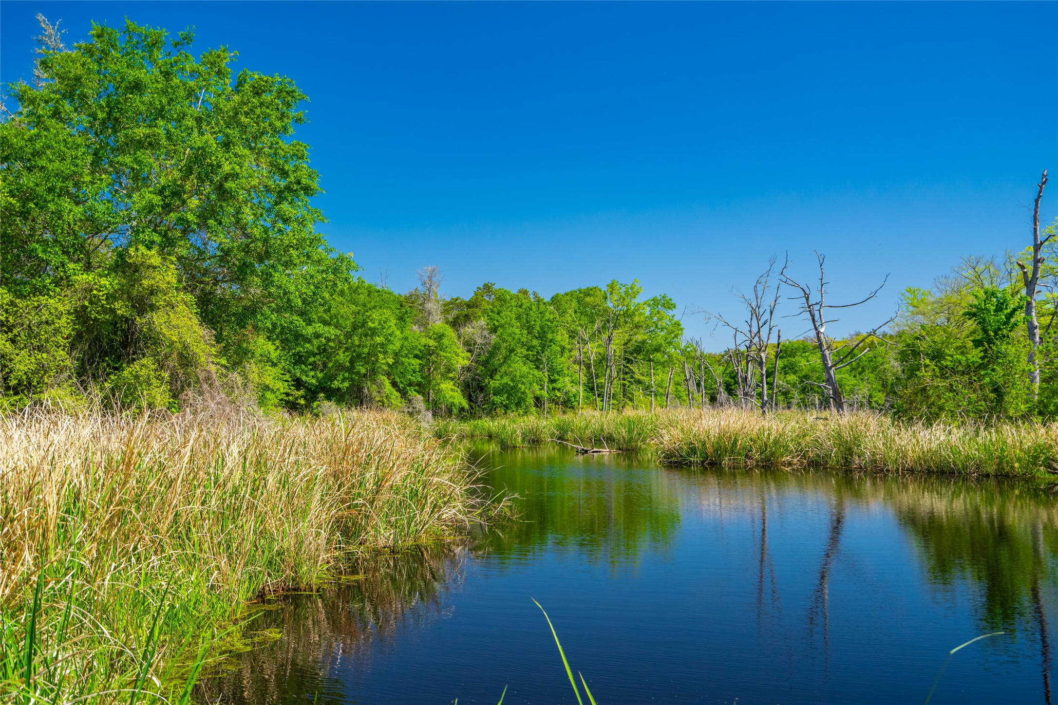 9002 County Road 374 Caldwell TX 77836