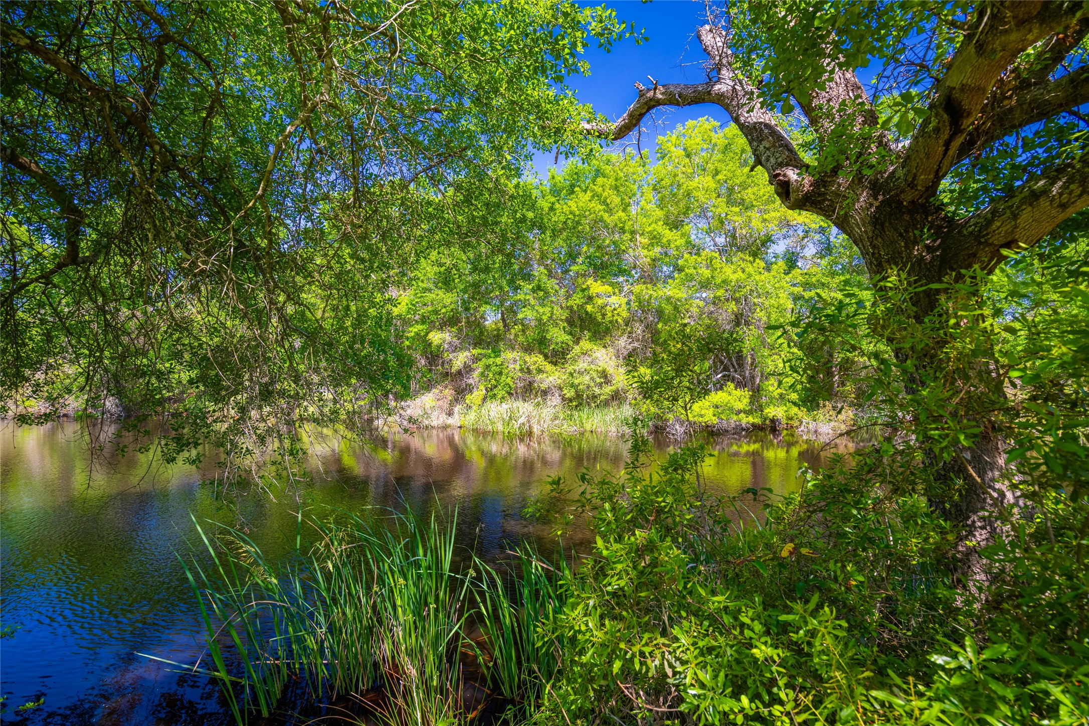 9002 County Road 374 Caldwell TX 77836
